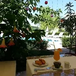 Family Muses Hotel 3*